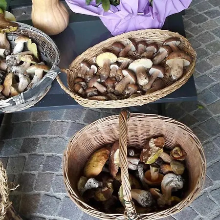 Alloggio per agriturismo Maso Tobel